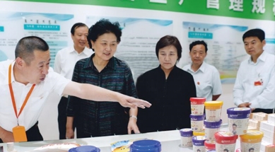 原中共中央政治局委員、國務(wù)院副總理劉延?xùn)|視察我公司